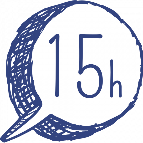 15 h individual lessons