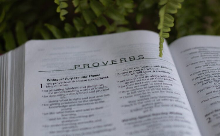  Proverbs in the English language