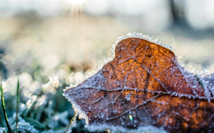  Winter Vocabulary & Phrasal Verbs: Talk About the Cold Like a Native Speaker