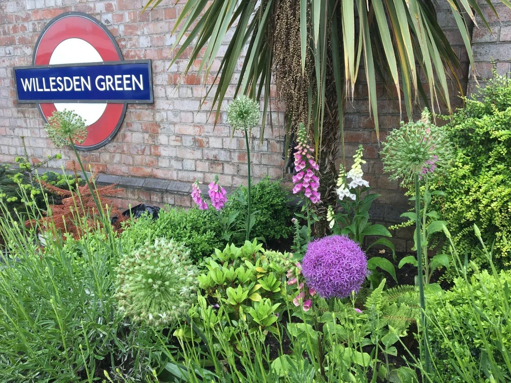 English Classes in Willesden Green, London