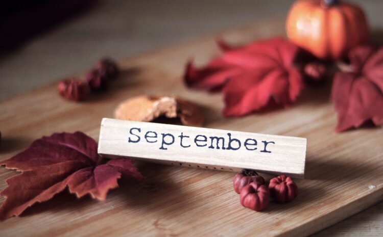  Autumn Is Here: 10 English Expressions for Talking About Change