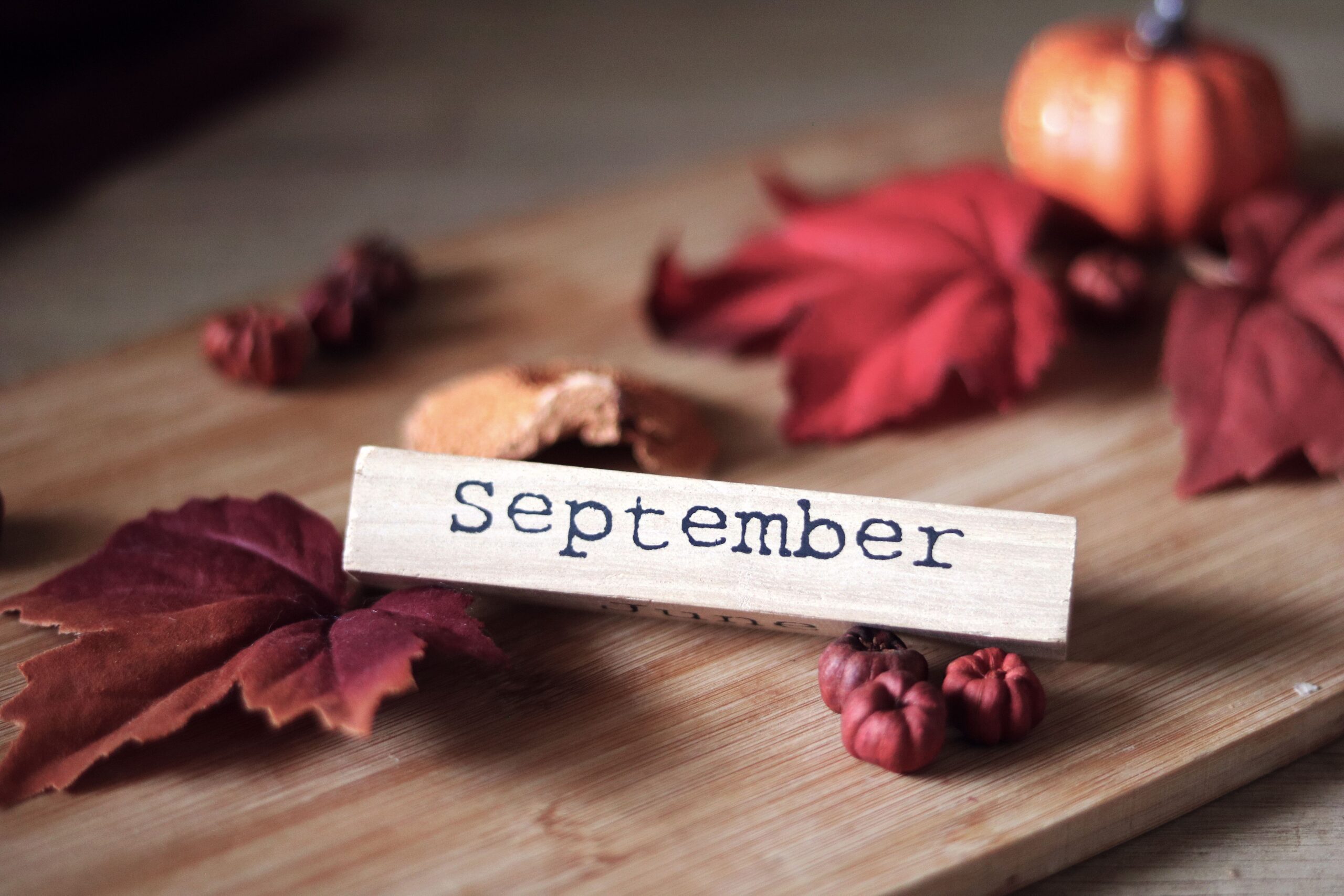 Autumn Is Here: 10 English Expressions for Talking About Change